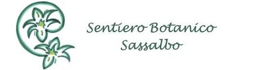 Botanischer Wanderweg Sassalbo