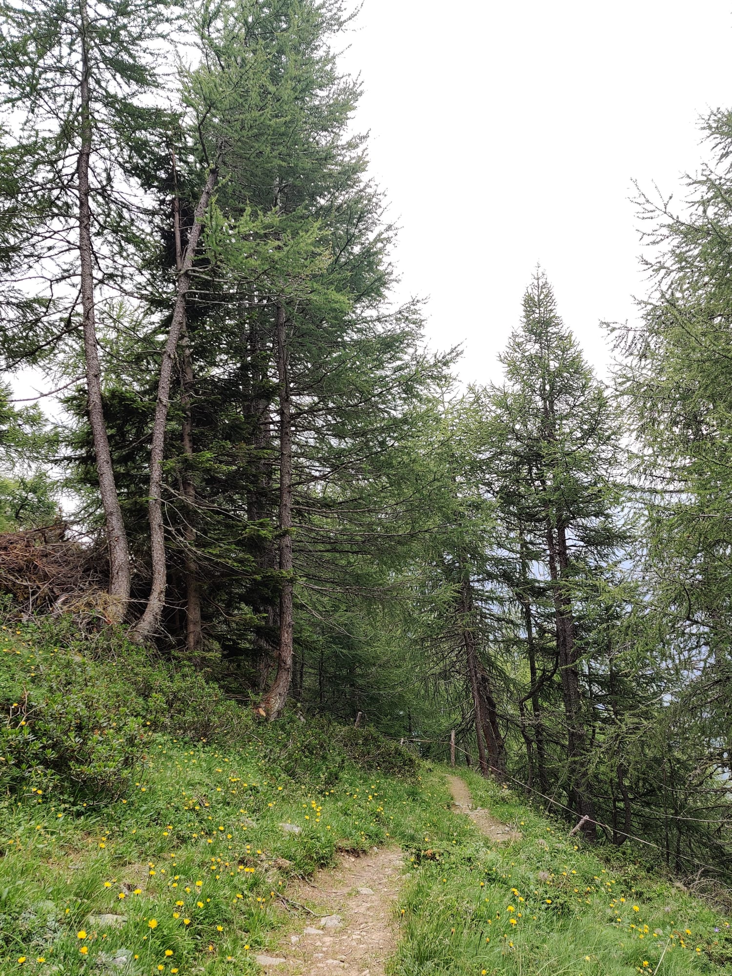 09c9b070-862e-4230-a0e9-8b1f7d57e840